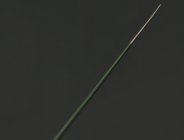 PTCA Guide Wires